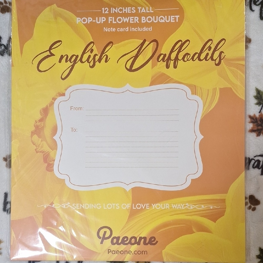 Paeone 12 Inch English Daffodils 3D Pop Up Flower Bouquet Greeting Card New - Picture 3 of 6